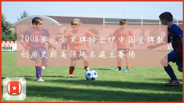 2008奥运会奖牌榜出炉中国金牌数创历史新高领跑东道主赛场