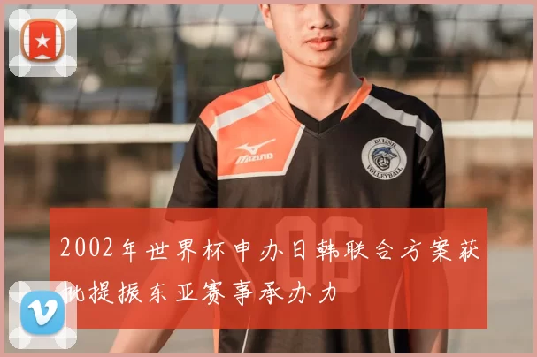 2002年世界杯申办日韩联合方案获批提振东亚赛事承办力