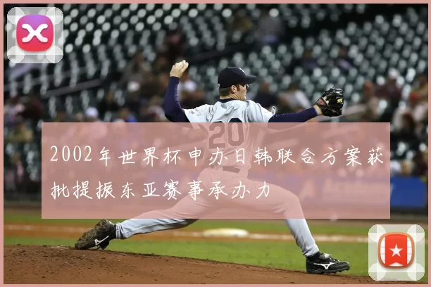 2002年世界杯申办日韩联合方案获批提振东亚赛事承办力