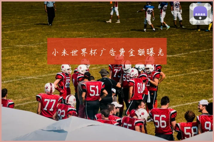 小米世界杯广告费金额曝光
