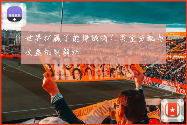 世界杯赢了能挣钱吗?奖金分配与收益机制解析