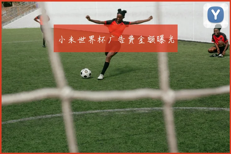 小米世界杯广告费金额曝光