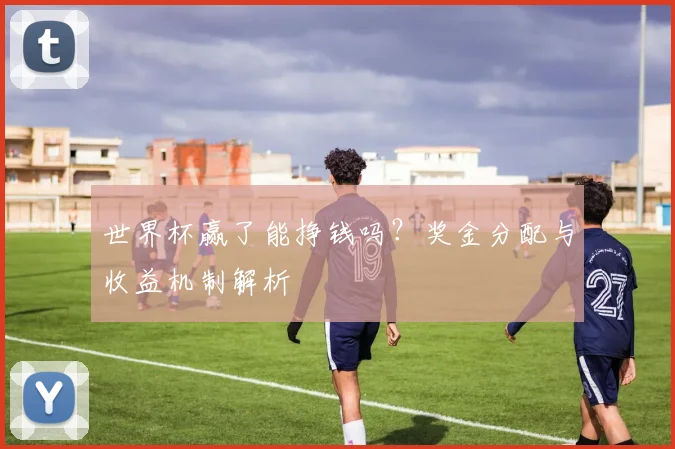 世界杯赢了能挣钱吗?奖金分配与收益机制解析