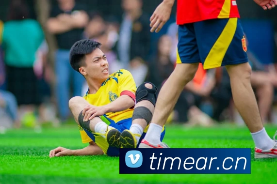 开云·kaiyun体育(中国)官方网站 - 登录入口平台生态图